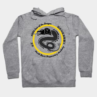 ChinadayNDPA Hoodie